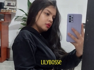 Lilybosse