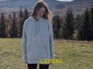 Lladybugg