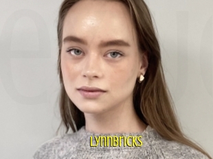 Lynnbricks