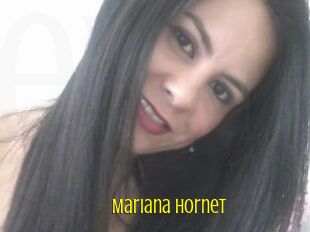 Mariana_hornet