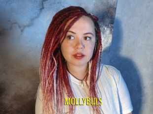 Mollybuls