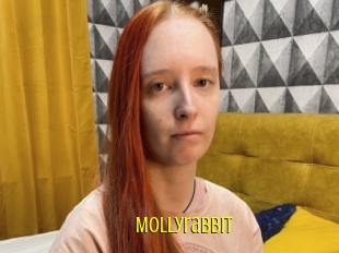 Mollyrabbit