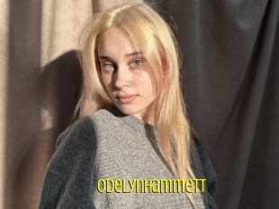 Odelynhammett