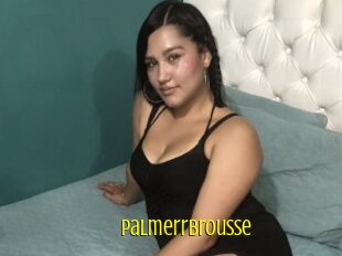 Palmerrbrousse