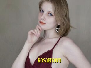 RosaBrown