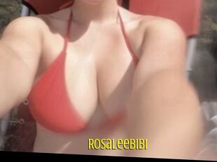 Rosaleebibi