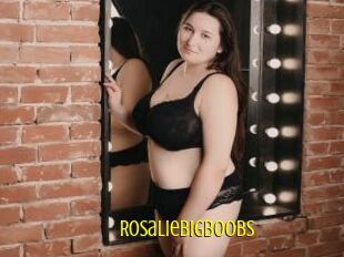 Rosaliebigboobs