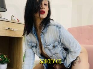 Sahory_co