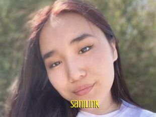 SaniLink