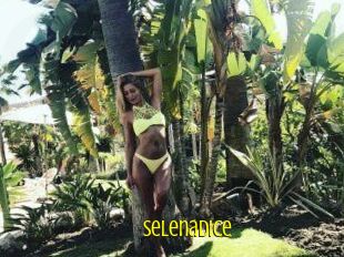 SelenaDice