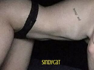 SindyCat