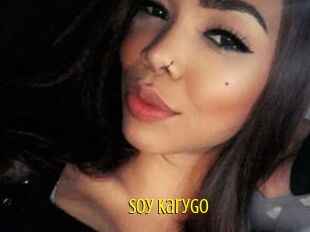 Soy_karygo