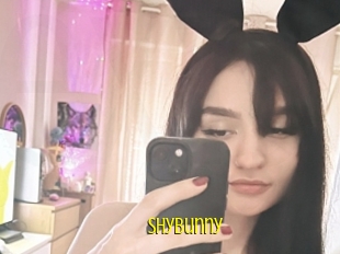 Shybunny