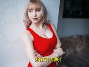 Sollyflower