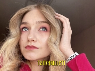 Taitehallett