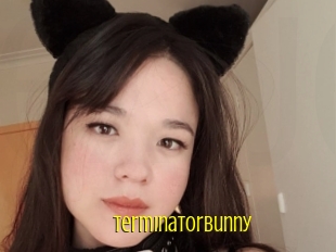 Terminatorbunny