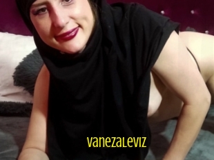 Vanezaleviz