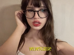 Velvetcassie