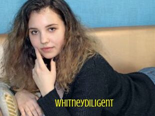 Whitneydiligent
