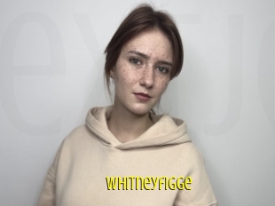 Whitneyfigge