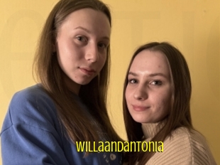 Willaandantonia