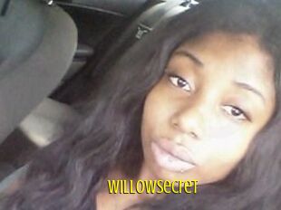 Willow_secret