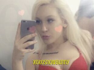 Xoxosnowbunny