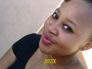 ZinziX